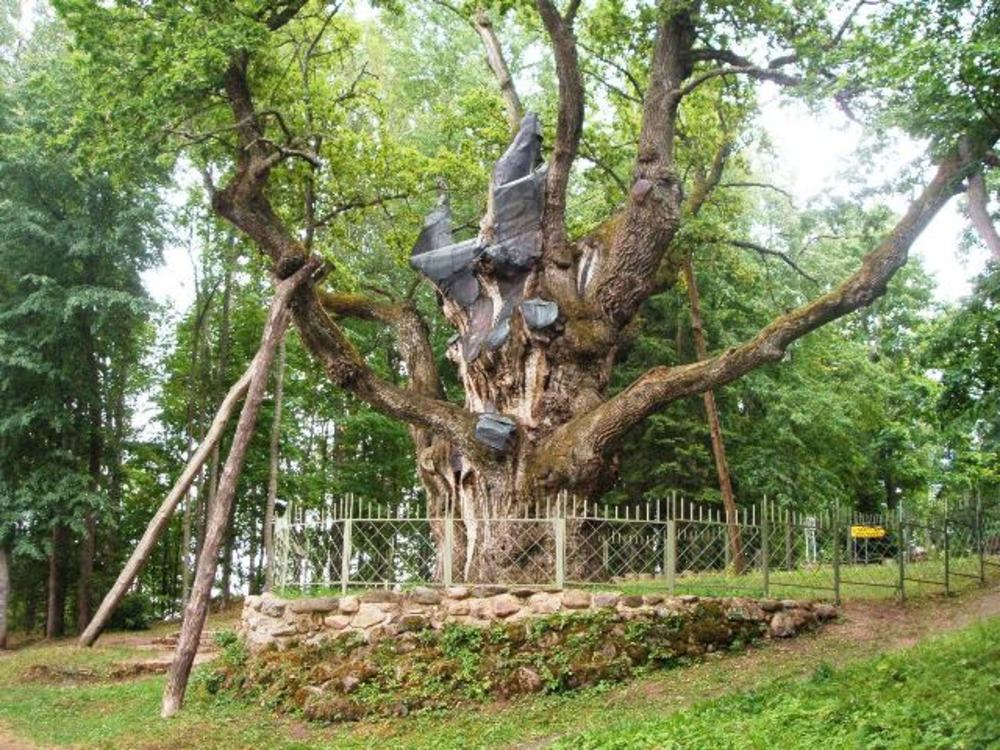 Life Expectancy Of A Wooden House Lithouse